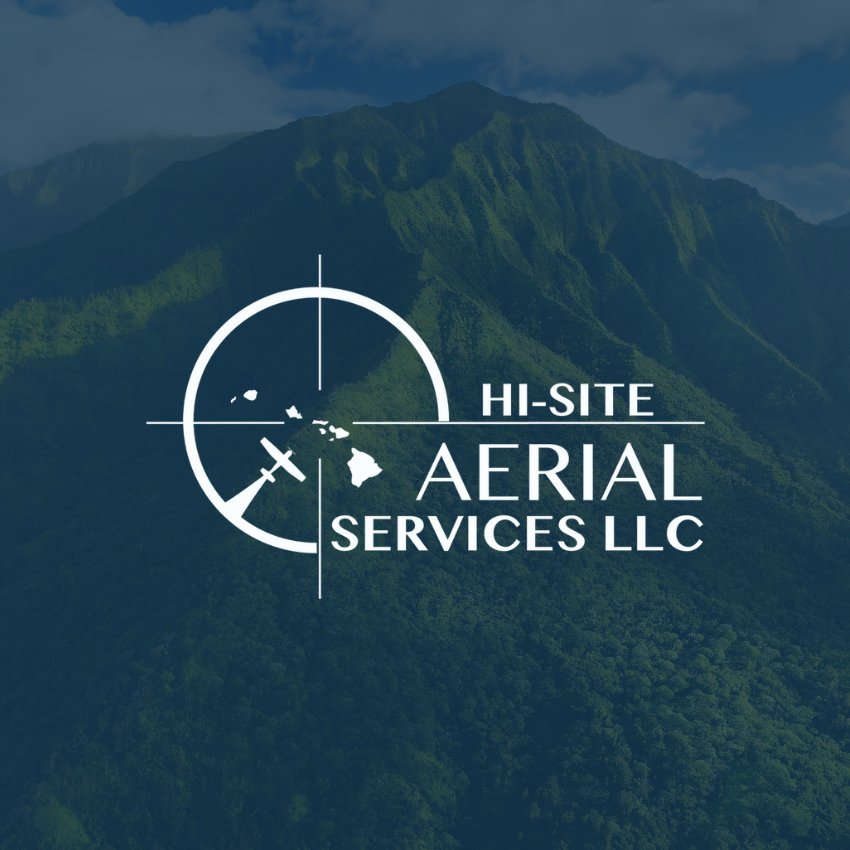 White logo design preview with an airplane laid over the top of a mountain range